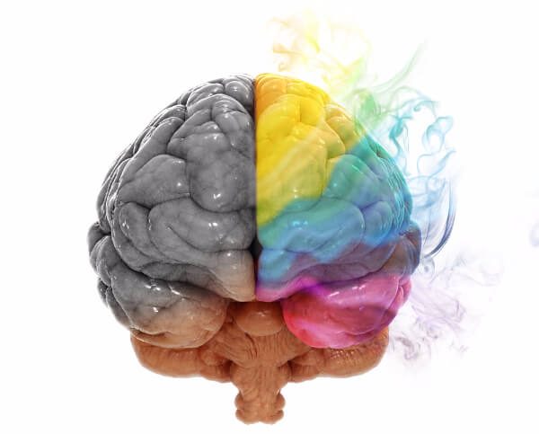 Neuroplasticity, thoughts and the brain. Image of a brain in colour.