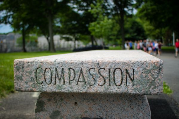 Self-compassion with a bench with compassion engraved on it