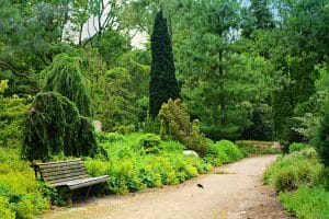 Improve mental health - exercise in nature 